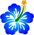 Flower 178 (colour)